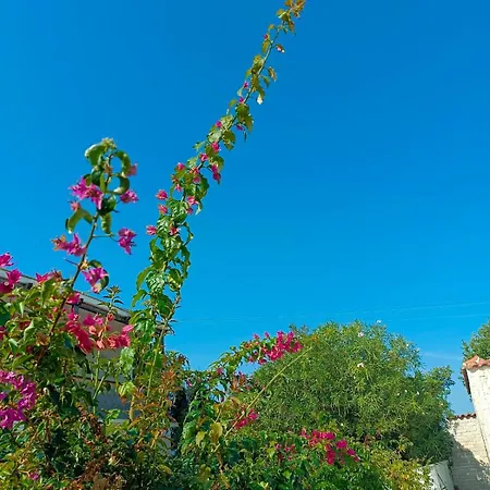 Valletta Отель *