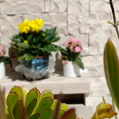 Valletta * Giovinazzo