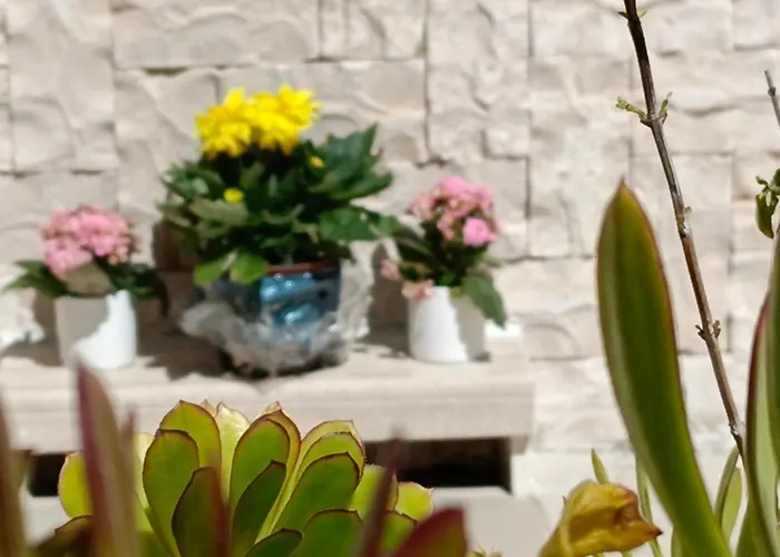 Valletta * Giovinazzo